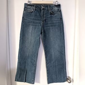 Sam Edelman The Chelsea Wide Leg Crop Button Fly Jeans sz 6